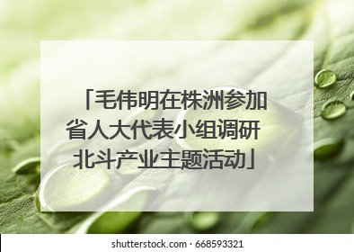 毛伟明在株洲参加省人大代表小组调研北斗产业主题活动