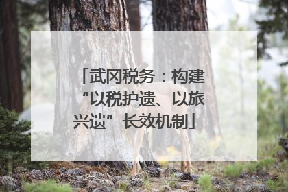 武冈税务：构建“以税护遗、以旅兴遗”长效机制