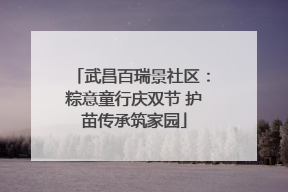 武昌百瑞景社区：粽意童行庆双节 护苗传承筑家园