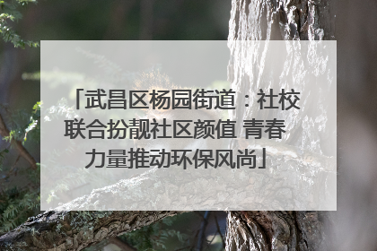 武昌区杨园街道：社校联合扮靓社区颜值 青春力量推动环保风尚