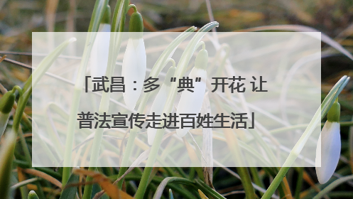 武昌：多“典”开花 让普法宣传走进百姓生活