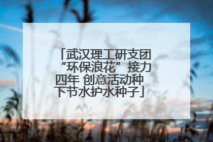 武汉理工研支团“环保浪花”接力四年 创意活动种下节水护水种子