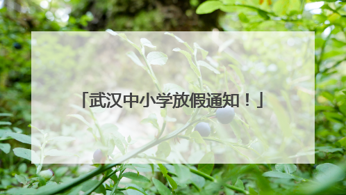武汉中小学放假通知！