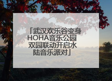 武汉欢乐谷变身HOHA音乐公园 双园联动开启水陆音乐派对