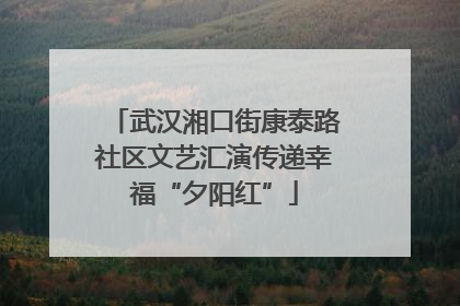 武汉湘口街康泰路社区文艺汇演传递幸福“夕阳红”