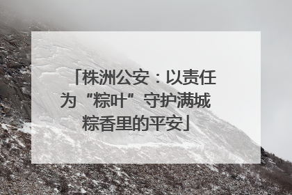 株洲公安：以责任为“粽叶”守护满城粽香里的平安