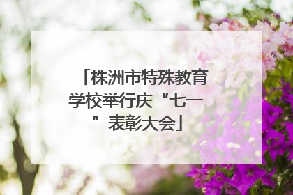 株洲市特殊教育学校举行庆“七一”表彰大会