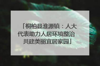 桐柏县淮源镇：人大代表助力人居环境整治 共建美丽宜居家园