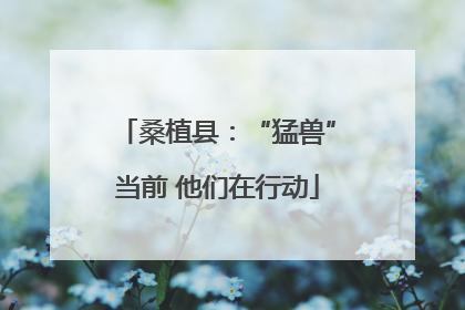 桑植县：“猛兽”当前 他们在行动