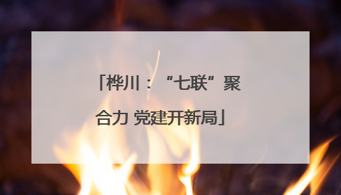 桦川：“七联”聚合力 党建开新局