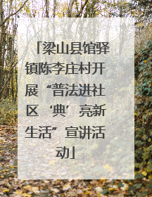 梁山县馆驿镇陈李庄村开展“普法进社区‘典’亮新生活”宣讲活动