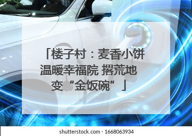楼子村：麦香小饼温暖幸福院 撂荒地变“金饭碗”