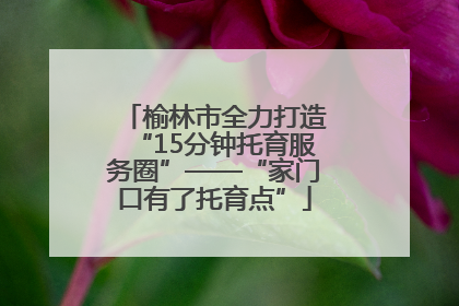 榆林市全力打造“15分钟托育服务圈”——“家门口有了托育点”