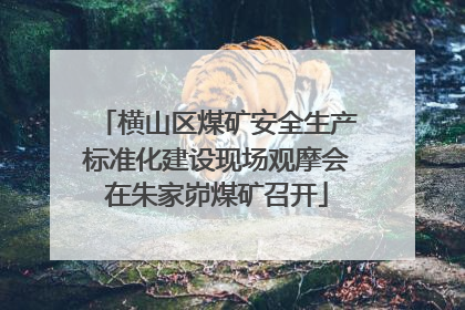 横山区煤矿安全生产标准化建设现场观摩会在朱家峁煤矿召开