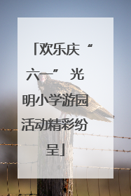 欢乐庆“六一” 光明小学游园活动精彩纷呈