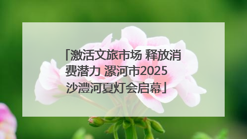 激活文旅市场 释放消费潜力 漯河市2025沙澧河夏灯会启幕