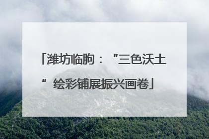 潍坊临朐：“三色沃土”绘彩铺展振兴画卷