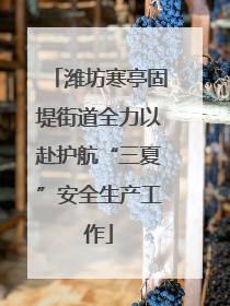 潍坊寒亭固堤街道全力以赴护航“三夏”安全生产工作