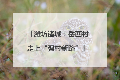 潍坊诸城：岳西村走上“强村新路”
