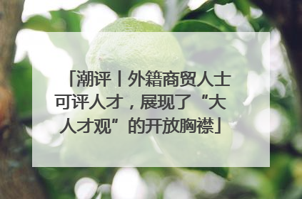 潮评丨外籍商贸人士可评人才，展现了“大人才观”的开放胸襟