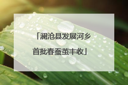 澜沧县发展河乡首批春蚕茧丰收