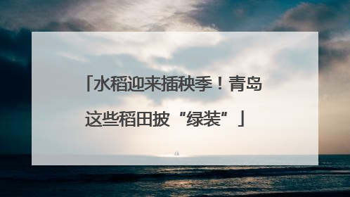 水稻迎来插秧季！青岛这些稻田披“绿装”