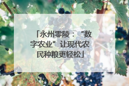永州零陵：“数字农业”让现代农民种粮更轻松