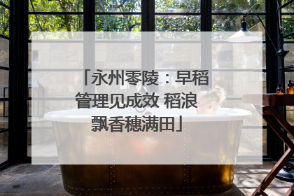 永州零陵：早稻管理见成效 稻浪飘香穗满田