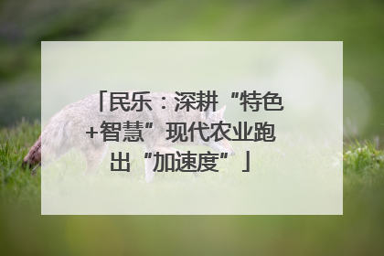 民乐：深耕“特色+智慧”现代农业跑出“加速度”