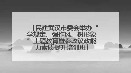 民建武汉市委会举办“学规定、强作风、树形象”主题教育暨参政议政能力素质提升培训班