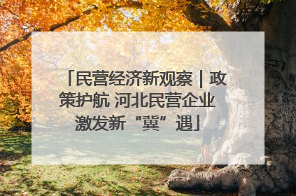 民营经济新观察｜政策护航 河北民营企业激发新“冀”遇
