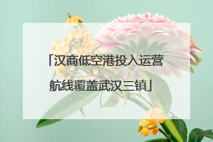 汉商低空港投入运营 航线覆盖武汉三镇