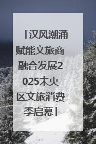 汉风潮涌赋能文旅商融合发展2025未央区文旅消费季启幕