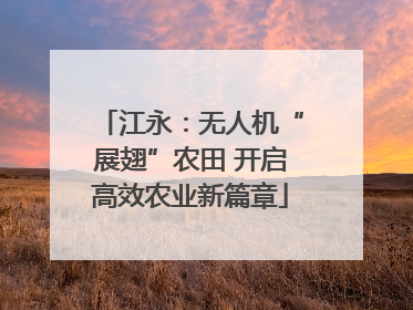 江永：无人机“展翅”农田 开启高效农业新篇章
