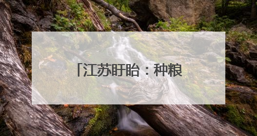 江苏盱眙：种粮大户喜获丰收