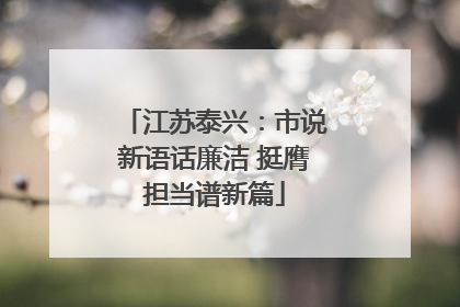 江苏泰兴：市说新语话廉洁 挺膺担当谱新篇