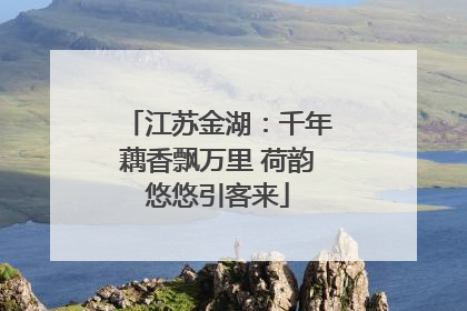 江苏金湖：千年藕香飘万里 荷韵悠悠引客来