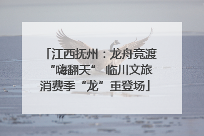 江西抚州：龙舟竞渡“嗨翻天” 临川文旅消费季“龙”重登场