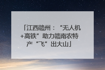 江西赣州：“无人机+高铁”助力赣南农特产“飞”出大山