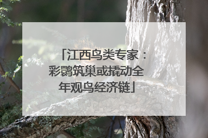 江西鸟类专家：彩鹮筑巢或撬动全年观鸟经济链