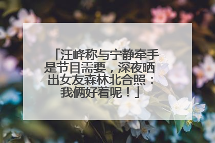汪峰称与宁静牵手是节目需要，深夜晒出女友森林北合照：我俩好着呢！