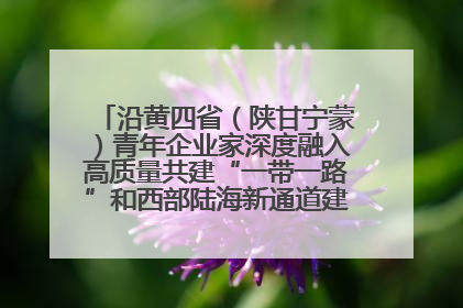 沿黄四省（陕甘宁蒙）青年企业家深度融入高质量共建“一带一路”和西部陆海新通道建设战略合作交流会在甘肃兰州召开
