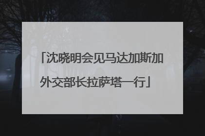 沈晓明会见马达加斯加外交部长拉萨塔一行