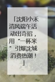 沈阳小禾清风端午活动出奇招，用“一杯米”引爆沈城消费热潮！