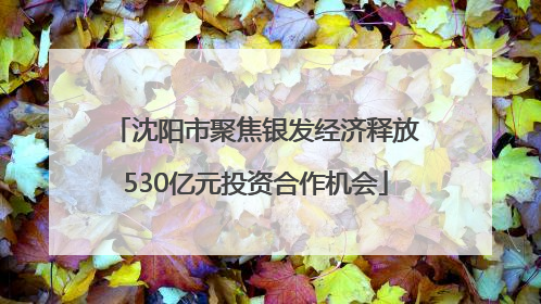 沈阳市聚焦银发经济释放530亿元投资合作机会