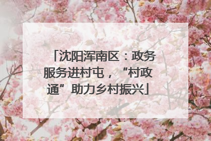 沈阳浑南区：政务服务进村屯，“村政通”助力乡村振兴