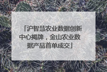沪智慧农业数据创新中心揭牌，金山农业数据产品首单成交
