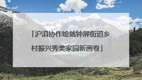 沪滇协作绘就钟屏街道乡村振兴秀美家园新画卷