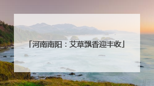 河南南阳：艾草飘香迎丰收