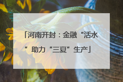河南开封：金融“活水”助力“三夏”生产